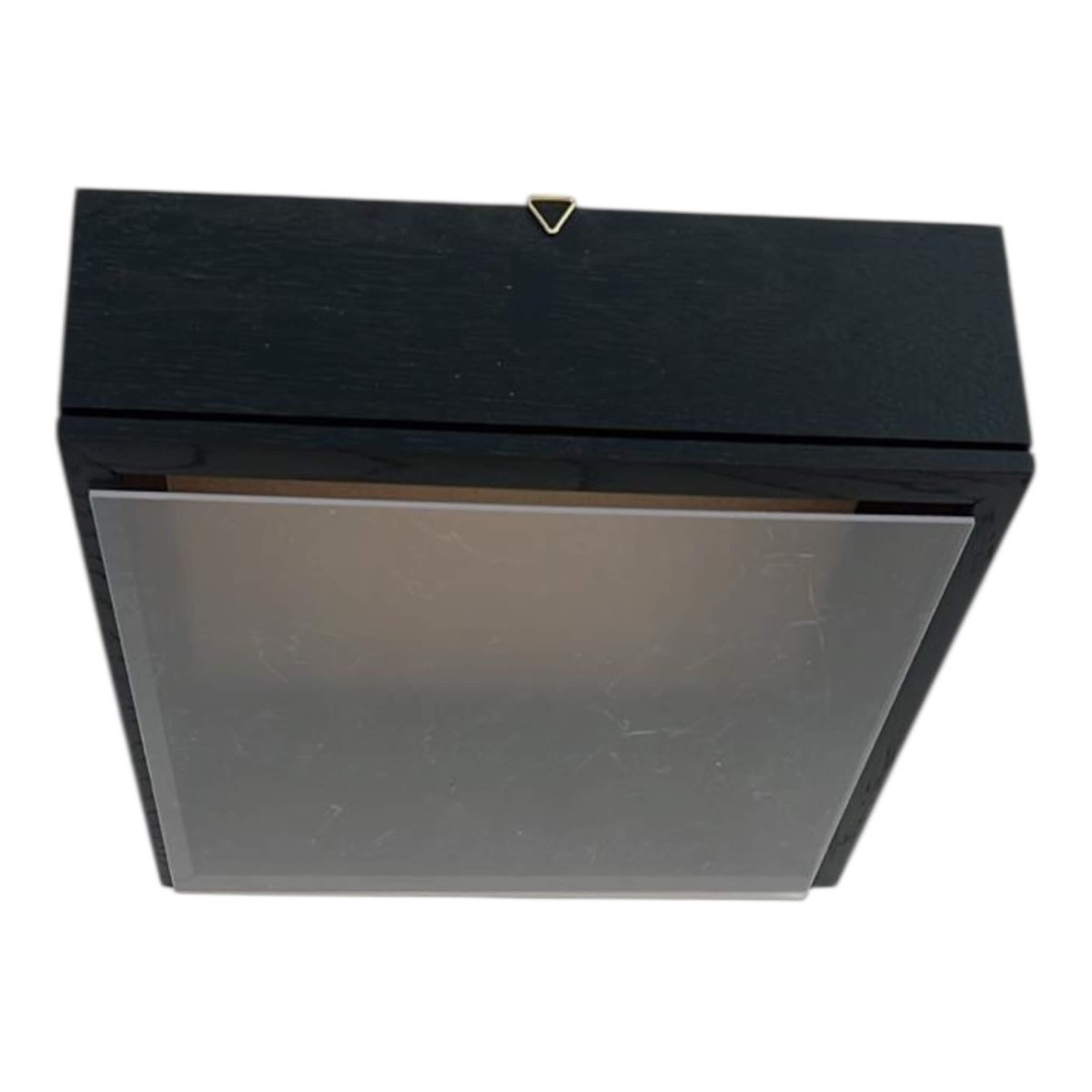 Rama neagra cu Plexiglas 27x27cm pentru tablouri decorative, ideala pentru flori criogenate si plante nemuritoare