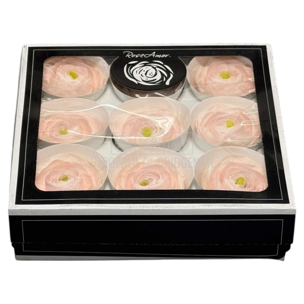 Ranunculus Criogenat Roz Set 9 buc - Depozitul de Criogenati