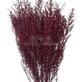 STOEBE BIZANCIO (buchet roz inchis, 40-50 cm) - Depozitul de Criogenati