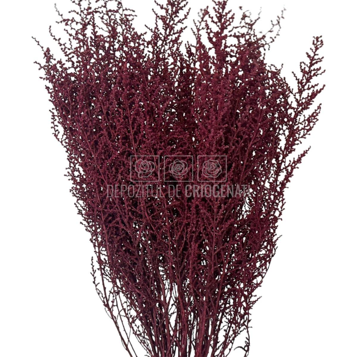 STOEBE BIZANCIO (buchet roz inchis, 40-50 cm) - Depozitul de Criogenati