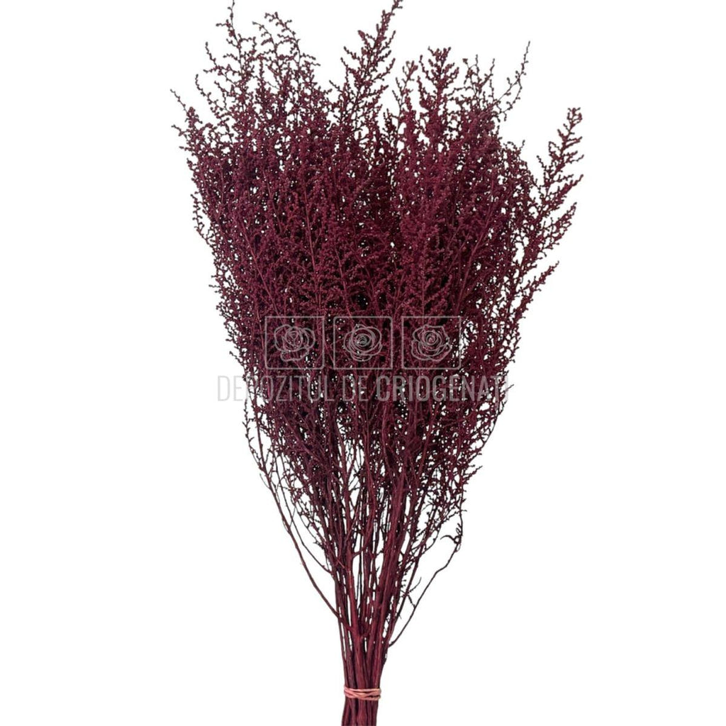 STOEBE BIZANCIO (buchet roz inchis, 40-50 cm) - Depozitul de Criogenati