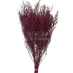 STOEBE BIZANCIO (buchet roz inchis, 40-50 cm) - Depozitul de Criogenati