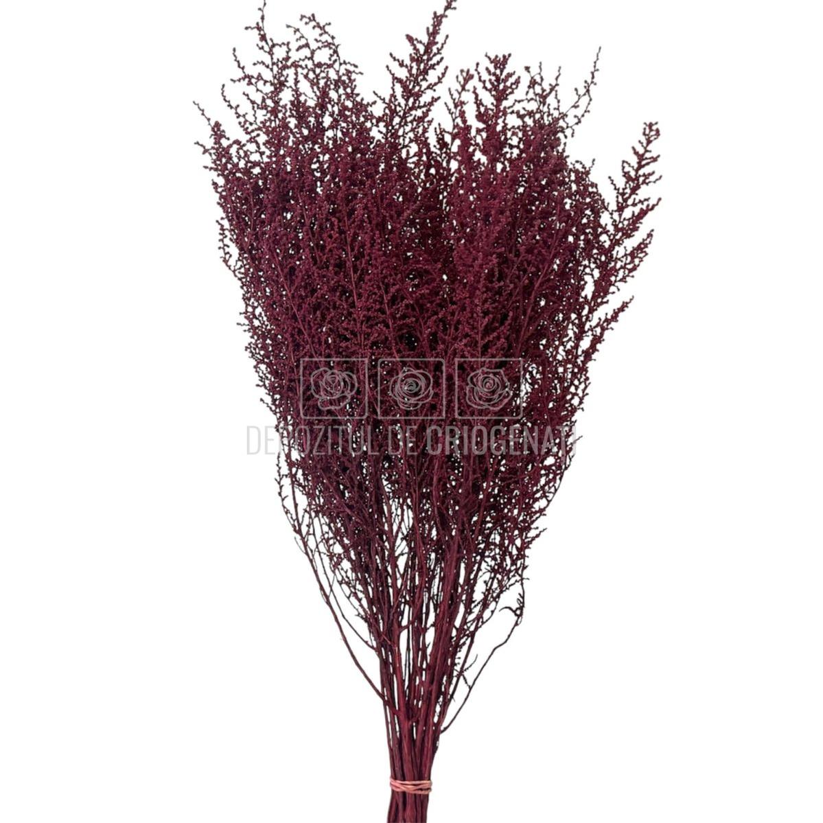 STOEBE BIZANCIO (buchet roz inchis, 40-50 cm) - Depozitul de Criogenati