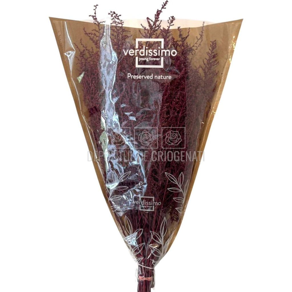 STOEBE BIZANCIO (buchet roz inchis, 40-50 cm) - Depozitul de Criogenati