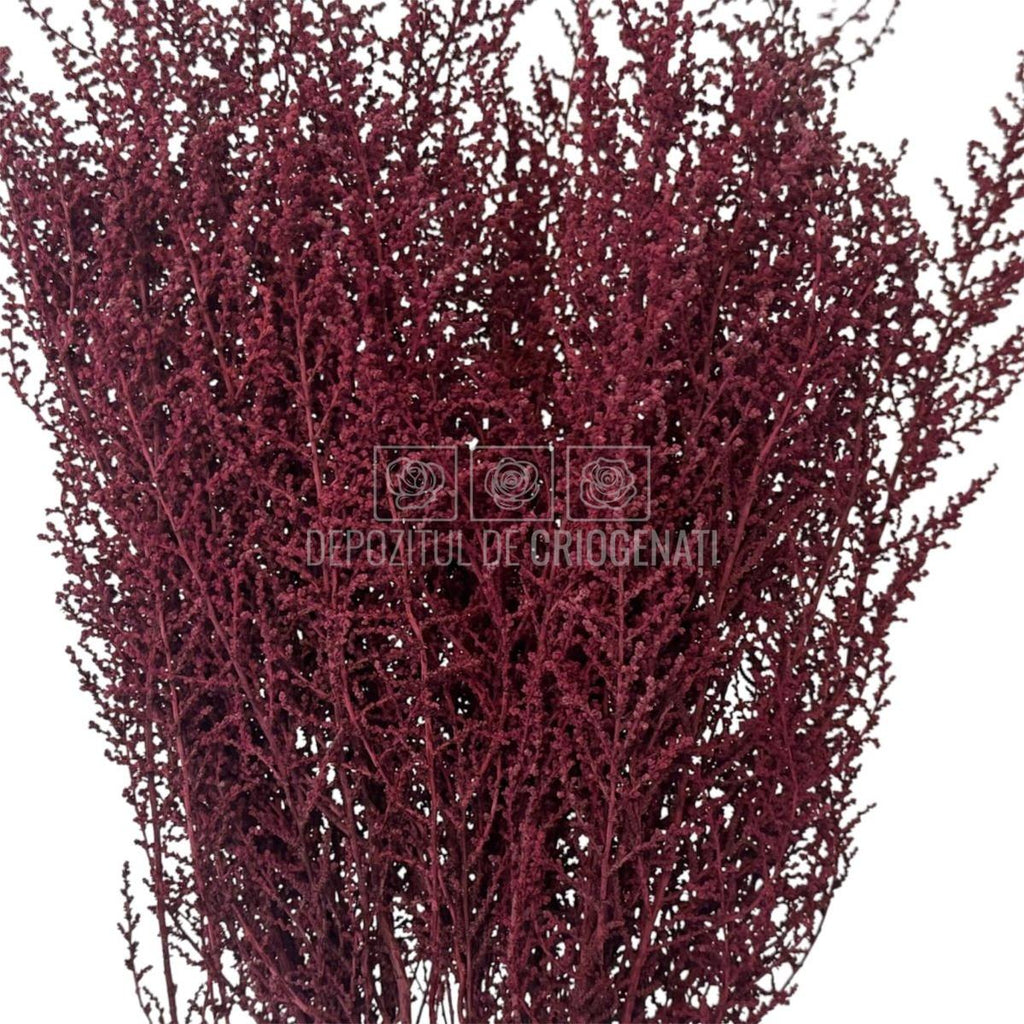 STOEBE BIZANCIO (buchet roz inchis, 40-50 cm) - Depozitul de Criogenati