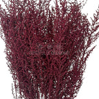 STOEBE BIZANCIO (buchet roz inchis, 40-50 cm) - Depozitul de Criogenati