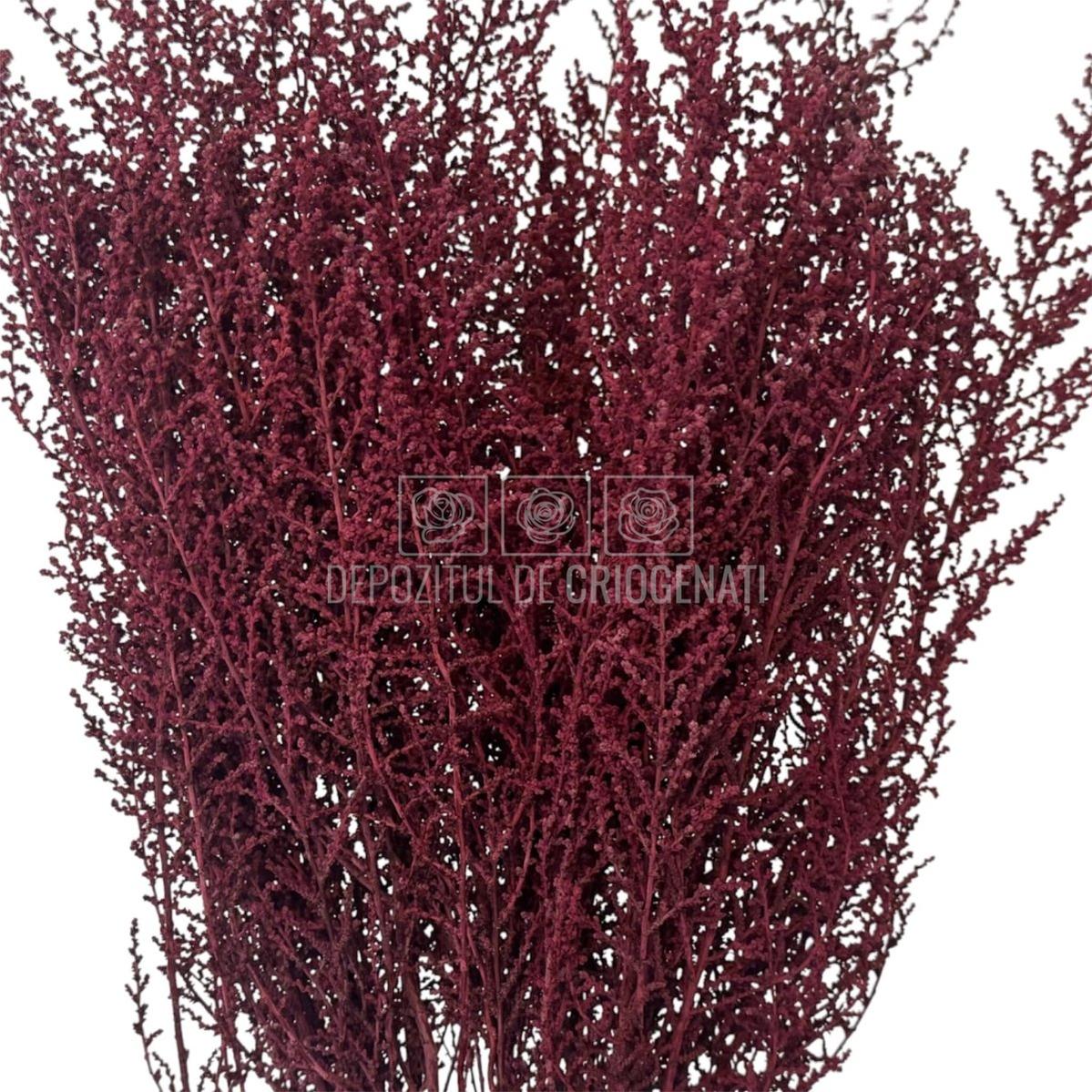 STOEBE BIZANCIO (buchet roz inchis, 40-50 cm) - Depozitul de Criogenati