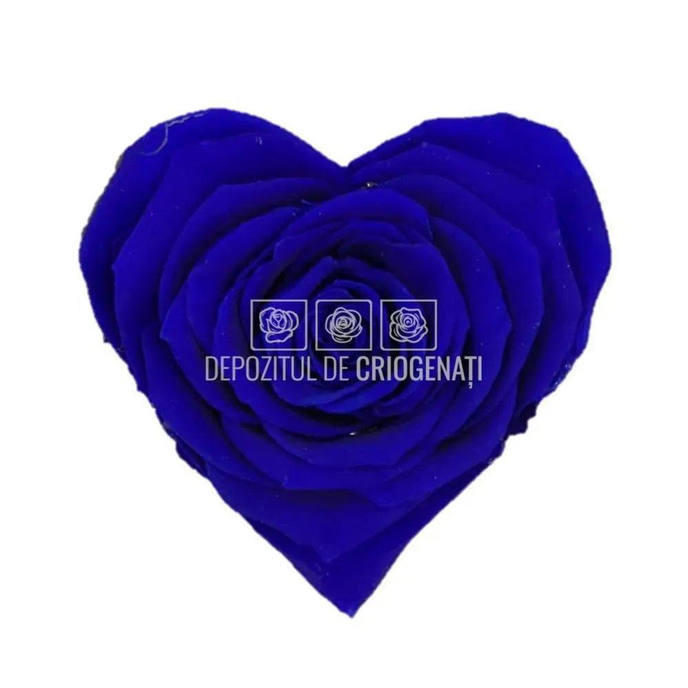 Trandafir Criogenat BELLA CORAZON BLU-03 (Ø7-8cm, 4 buc /cutie) - DepozituldeCriogenati.ro