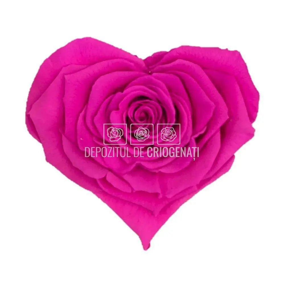 Trandafir Criogenat BELLA CORAZON PIN-07 (Ø7-8cm, 4 buc /cutie) - DepozituldeCriogenati.ro