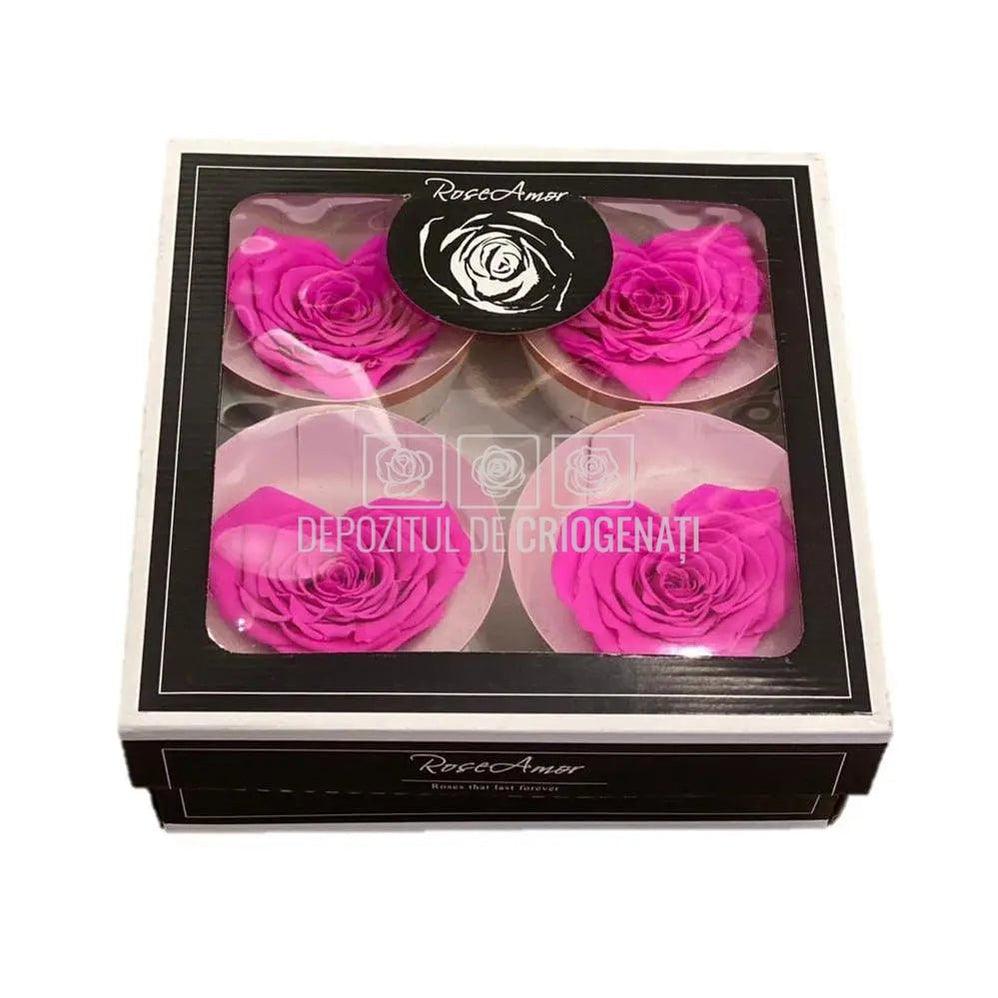 Trandafir Criogenat BELLA CORAZON PIN-07 (Ø7-8cm, 4 buc /cutie) - DepozituldeCriogenati.ro