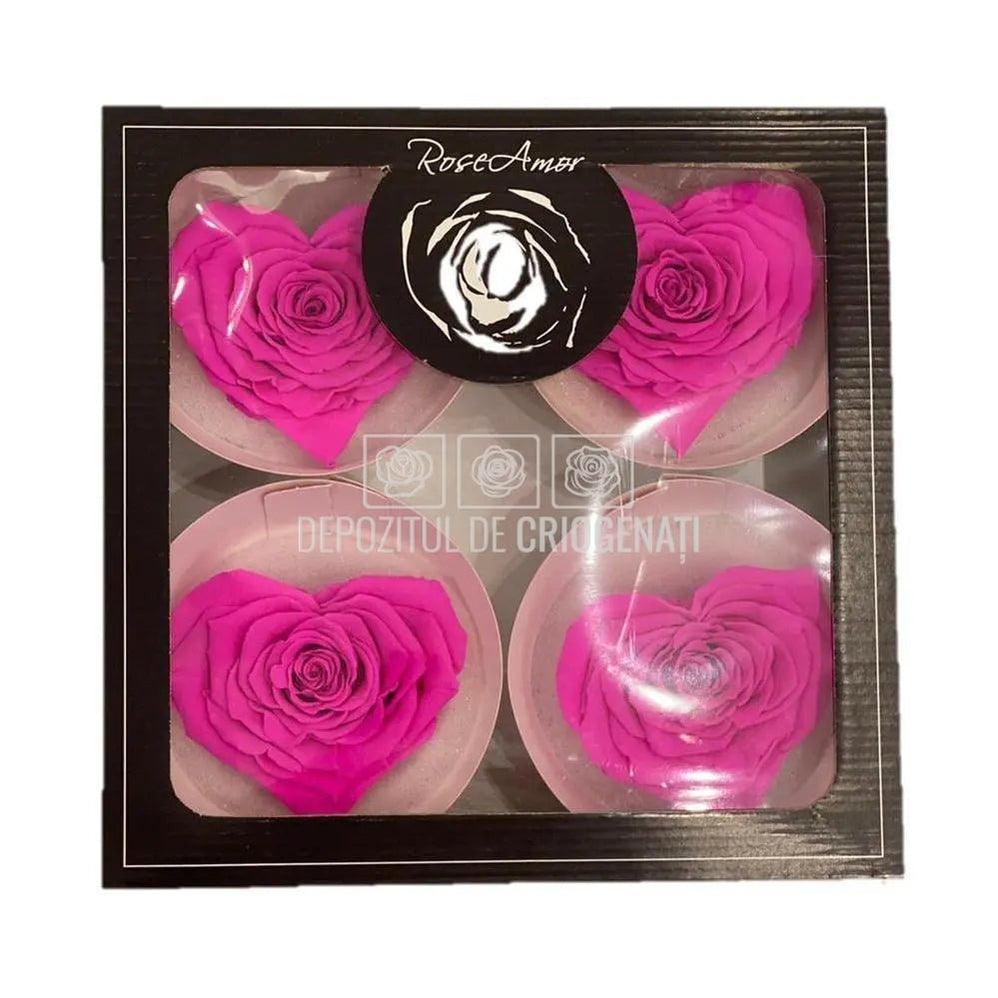 Trandafir Criogenat BELLA CORAZON PIN-07 (Ø7-8cm, 4 buc /cutie) - DepozituldeCriogenati.ro