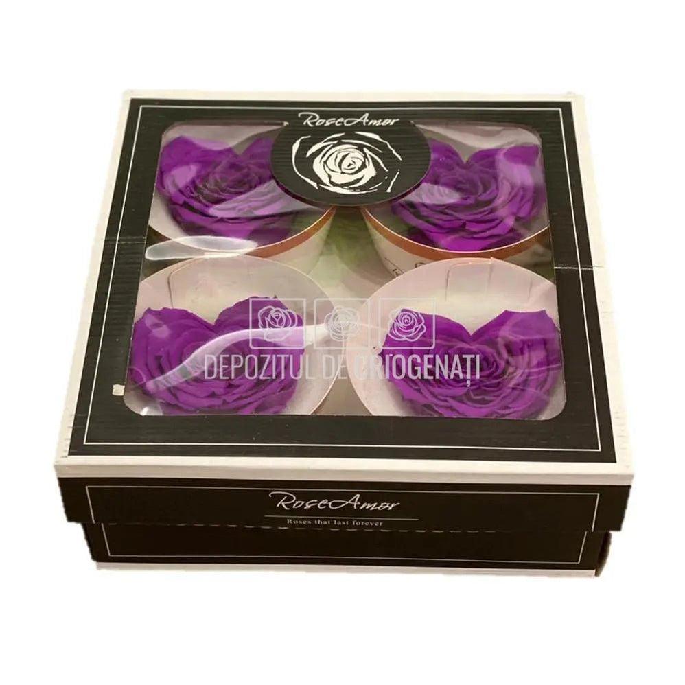 Trandafir Criogenat BELLA CORAZON PUR-02 (Ø7-8cm, 4 buc /cutie) - DepozituldeCriogenati.ro