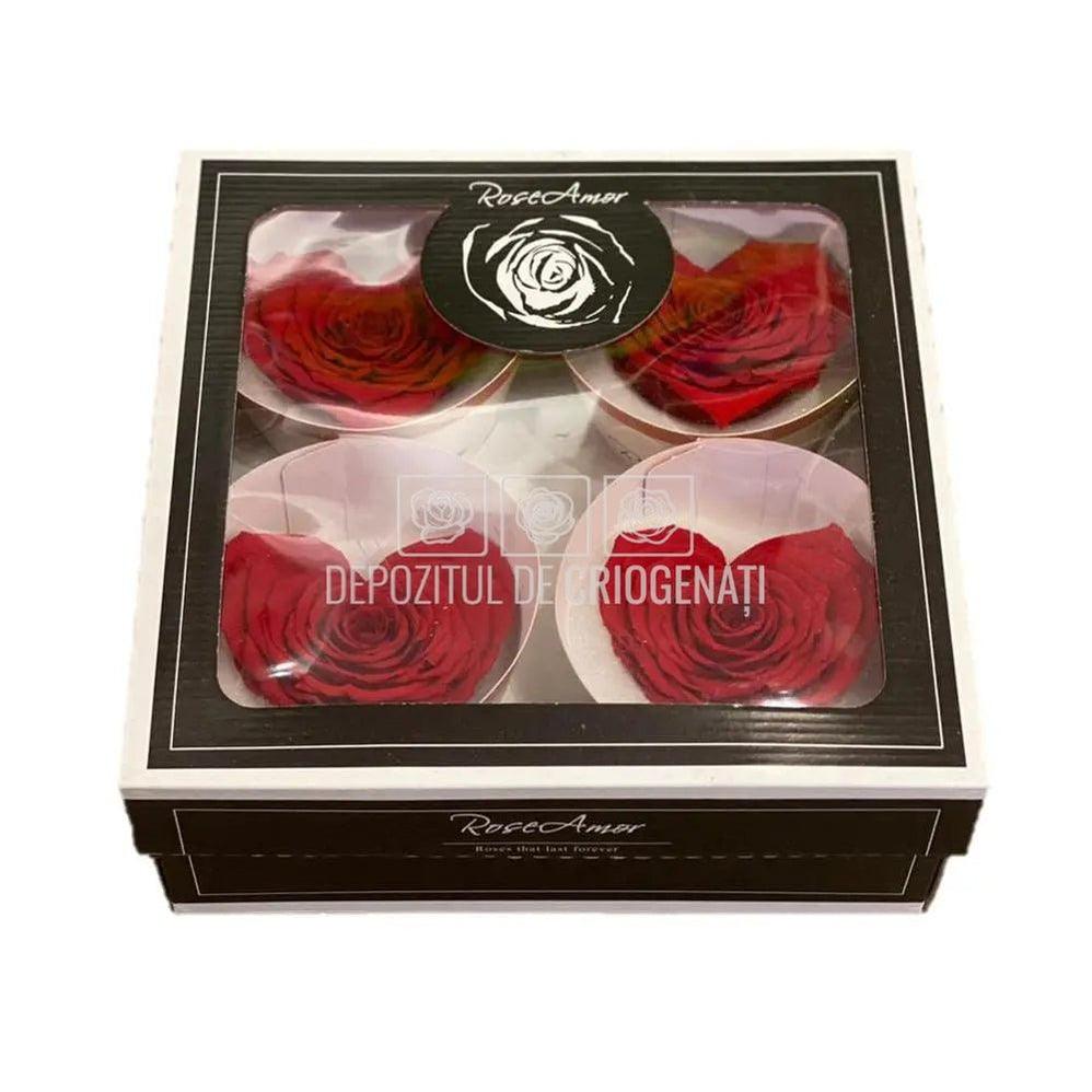 Trandafir Criogenat BELLA CORAZON RED - 02 (dia. 7 - 8cm) - Depozitul de Criogenati