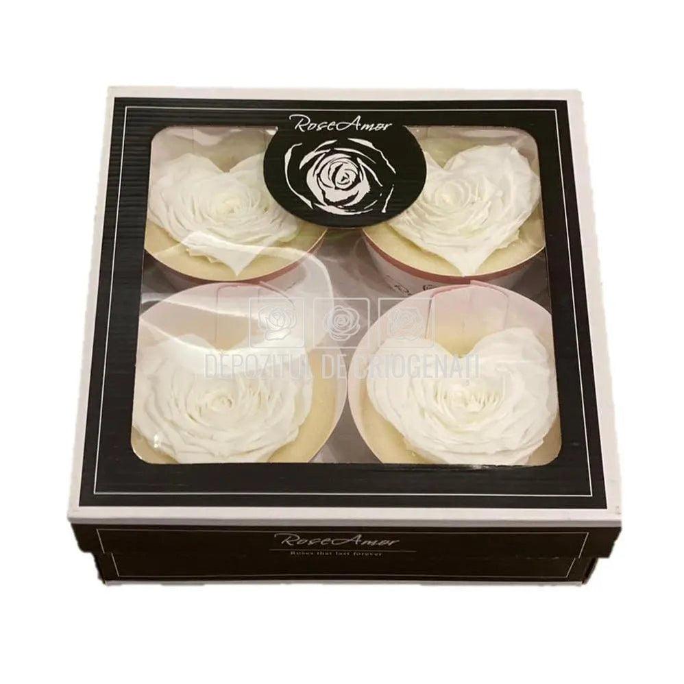 Trandafir Criogenat BELLA CORAZON WHI-01 (Ø7-8cm, 4 buc /cutie) - DepozituldeCriogenati.ro