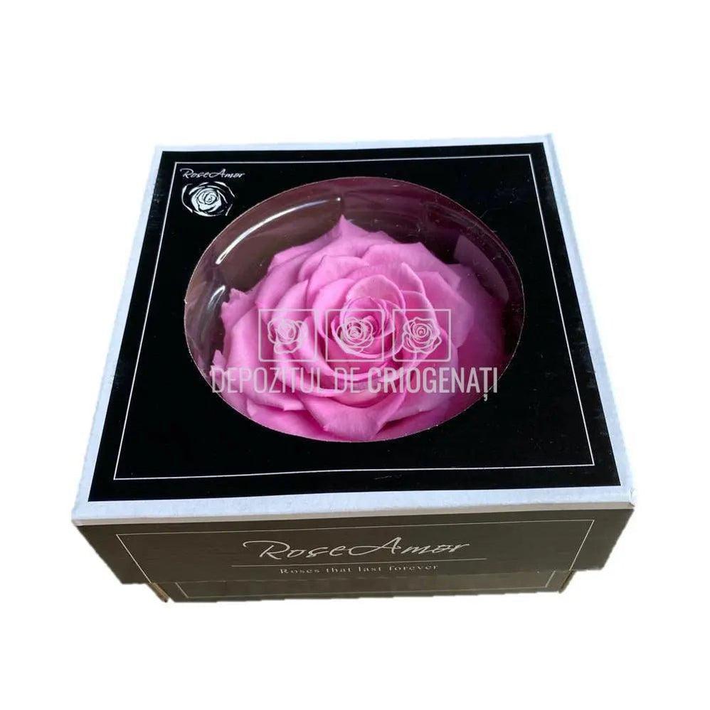 Trandafir Criogenat BONITA BIC-08 (Ø9,5cm, 1 buc /cutie) - DepozituldeCriogenati.ro