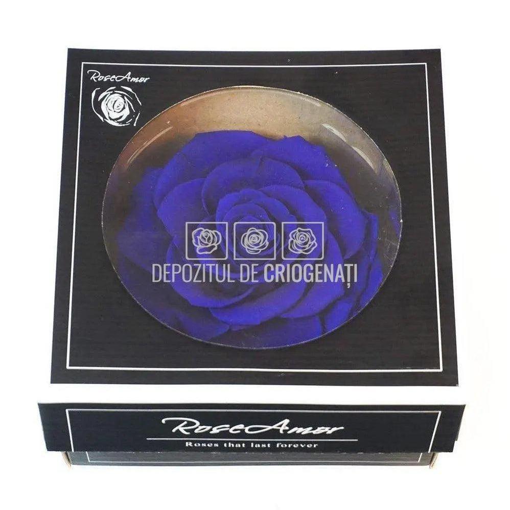 Trandafir Criogenat BONITA BLU - 03 (dia. 9,5cm, 1 buc /cutie) - Depozitul de Criogenati
