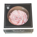 Trandafir Criogenat BONITA PIN - 04 (dia. 9,5cm, 1 buc /cutie) - Depozitul de Criogenati