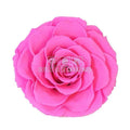 Trandafir Criogenat BONITA PIN - 07 (dia. 9,5cm, 1 buc /cutie) - Depozitul de Criogenati