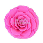 Trandafir Criogenat BONITA PIN - 07 (dia. 9,5cm, 1 buc /cutie) - Depozitul de Criogenati