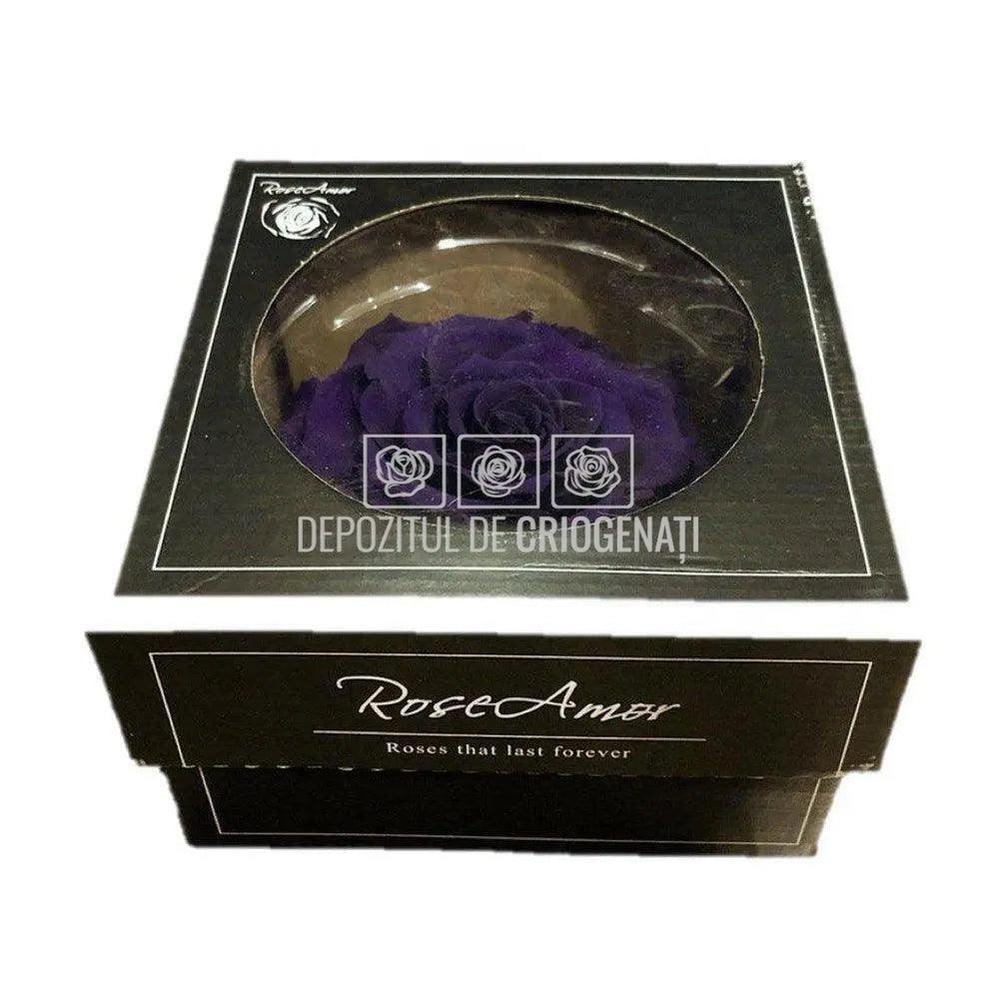 Trandafir Criogenat BONITA PUR - 01 (dia. 9,5cm, 1 buc /cutie) - Depozitul de Criogenati