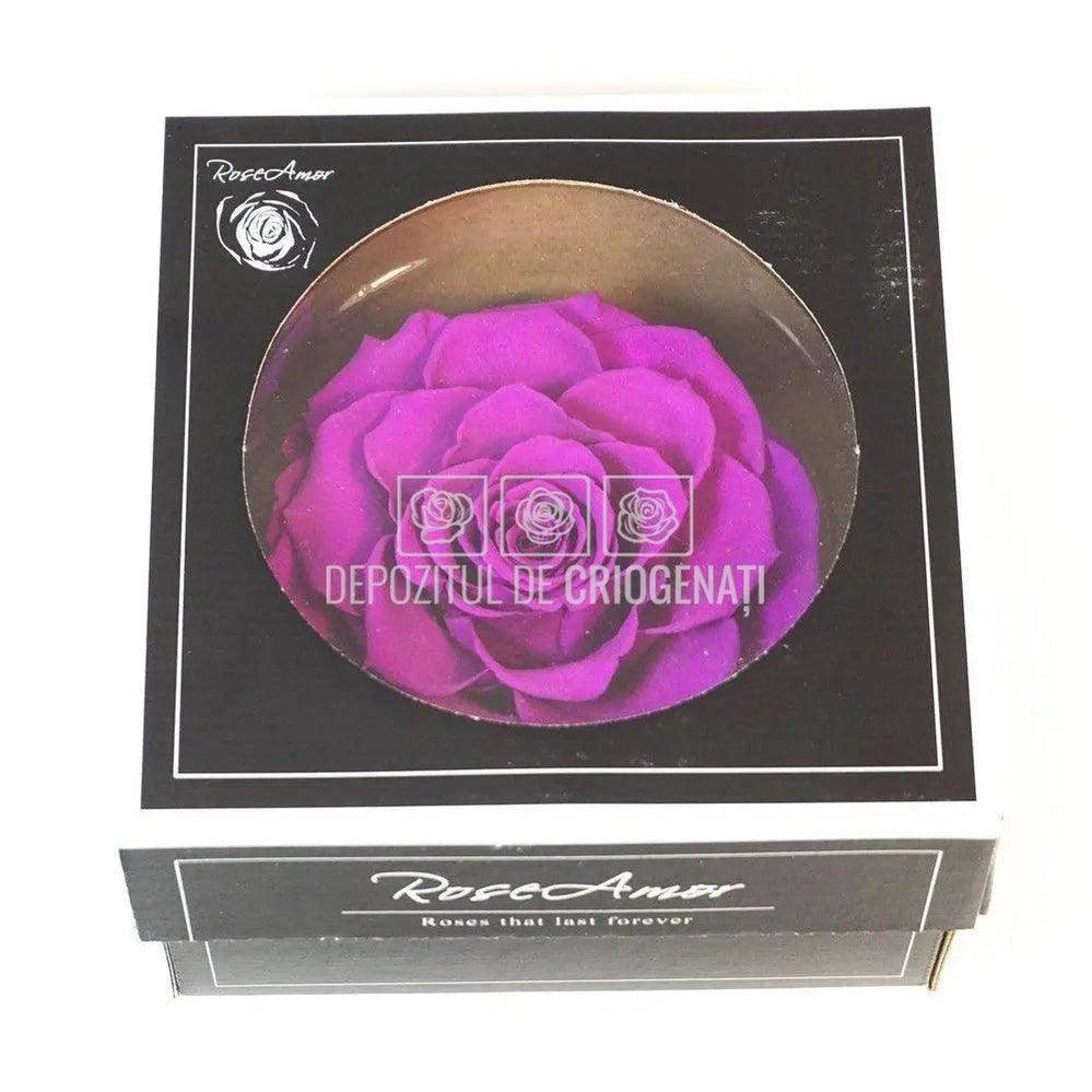 Trandafir Criogenat BONITA PUR - 02 (dia. 9,5cm, 1 buc /cutie) - Depozitul de Criogenati