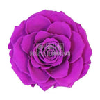 Trandafir Criogenat BONITA PUR - 02 (dia. 9,5cm, 1 buc /cutie) - Depozitul de Criogenati