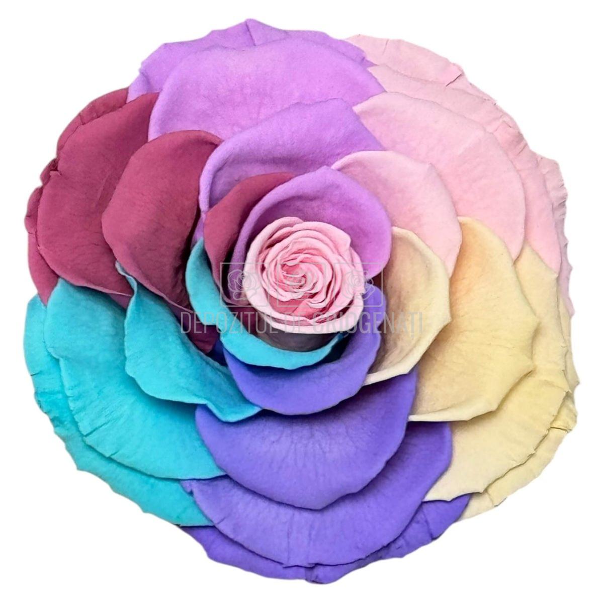 Trandafir Criogenat BONITA RAINBOW PIN - 04 (dia. 9,5cm) - Depozitul de Criogenati