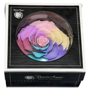 Trandafir Criogenat BONITA RAINBOW PIN - 04 (dia. 9,5cm) - Depozitul de Criogenati