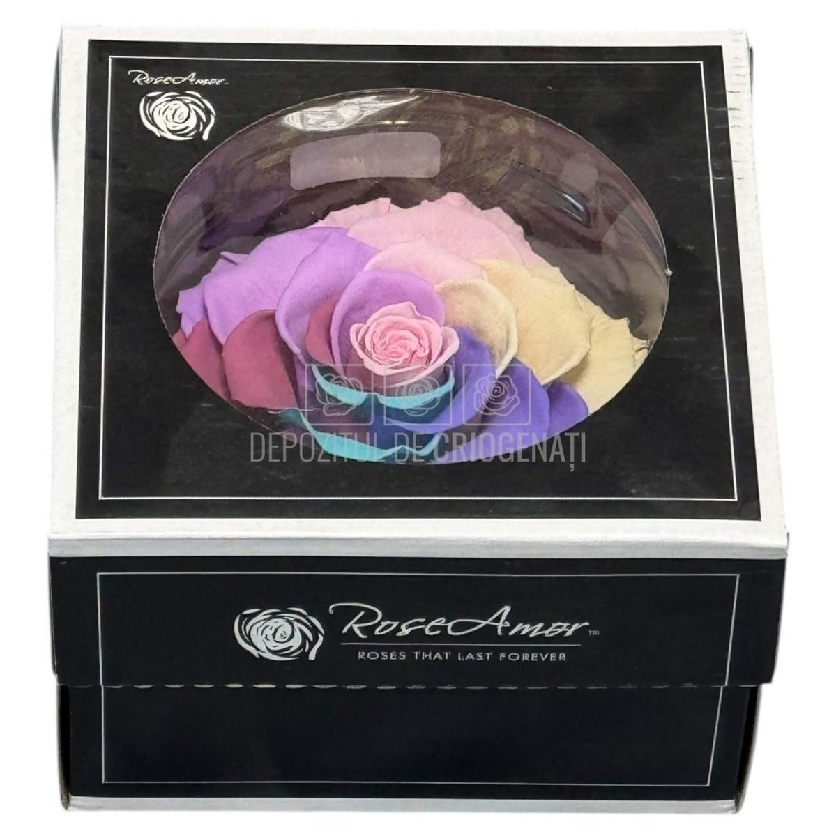 Trandafir Criogenat BONITA RAINBOW PIN - 04 (dia. 9,5cm) - Depozitul de Criogenati