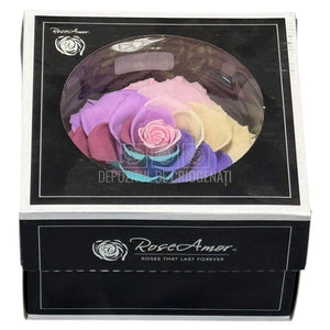 Trandafir Criogenat BONITA RAINBOW PIN - 04 (dia. 9,5cm) - Depozitul de Criogenati