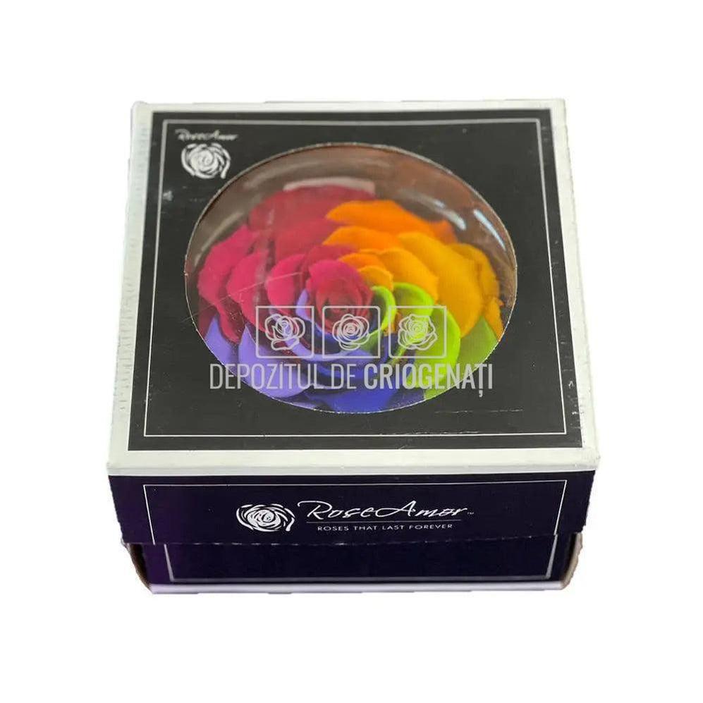 Trandafir Criogenat BONITA RAINBOW RED - 02 (dia. 9,5cm, 1 buc /cutie) - Depozitul de Criogenati