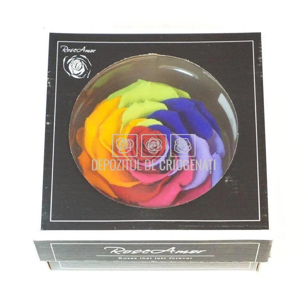 Trandafir Criogenat BONITA RAINBOW RED - 02 (dia. 9,5cm, 1 buc /cutie) - Depozitul de Criogenati