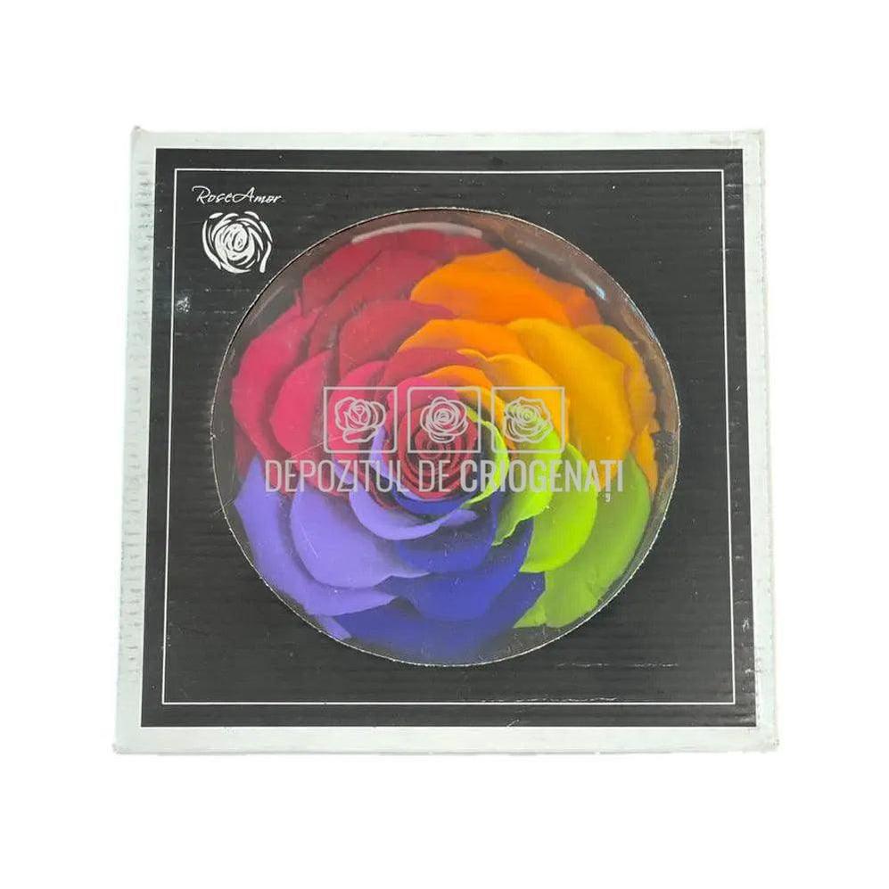 Trandafir Criogenat BONITA RAINBOW RED - 02 (dia. 9,5cm, 1 buc /cutie) - Depozitul de Criogenati