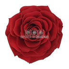 Trandafir Criogenat BONITA RED - 01 (dia. 9,5cm, 1 buc /cutie) - Depozitul de Criogenati
