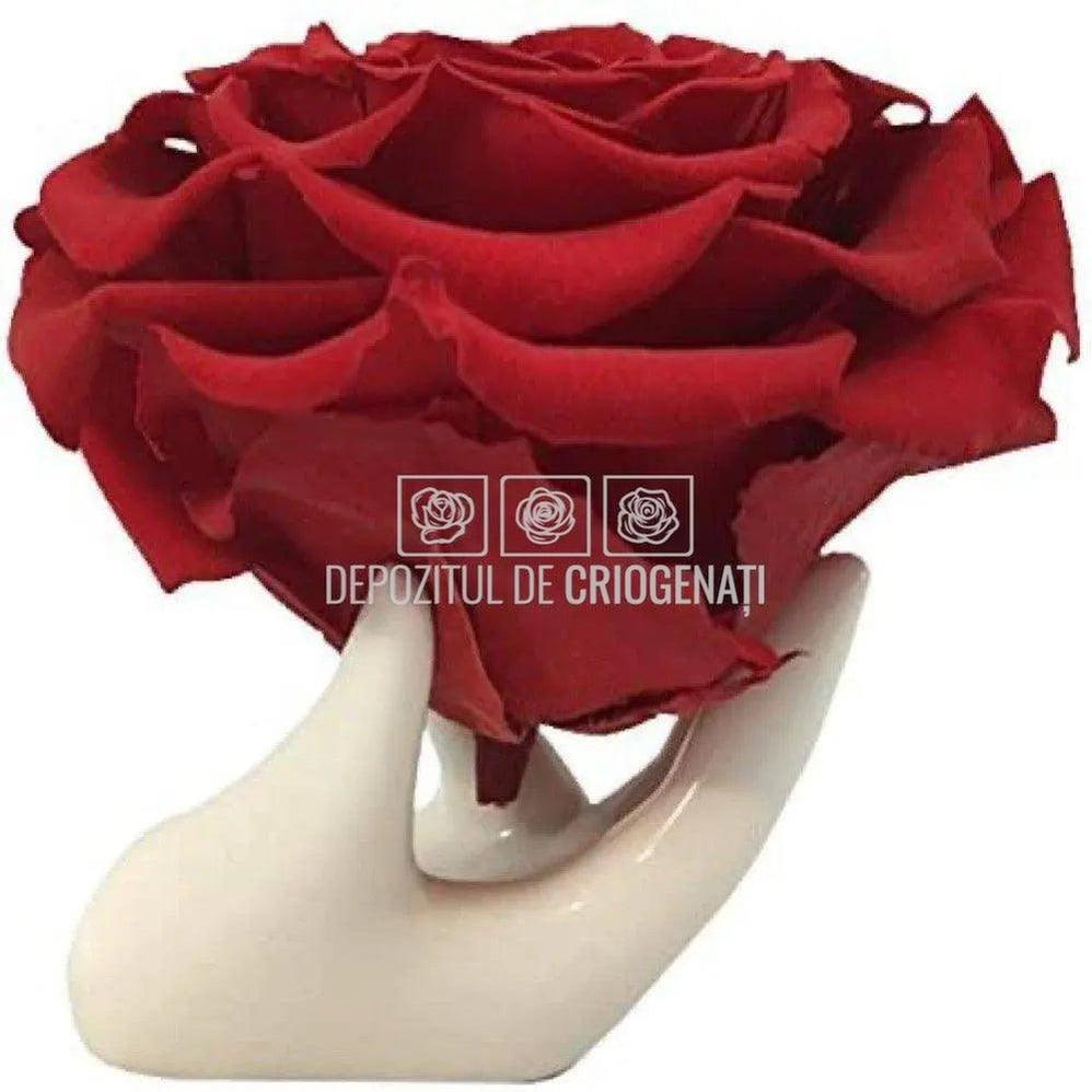 Trandafir Criogenat BONITA RED - 01 (dia. 9,5cm, 1 buc /cutie) - Depozitul de Criogenati