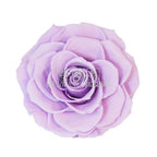 Trandafir Criogenat BONITA VIO - 03 (dia. 9,5cm, 1 buc /cutie) - Depozitul de Criogenati