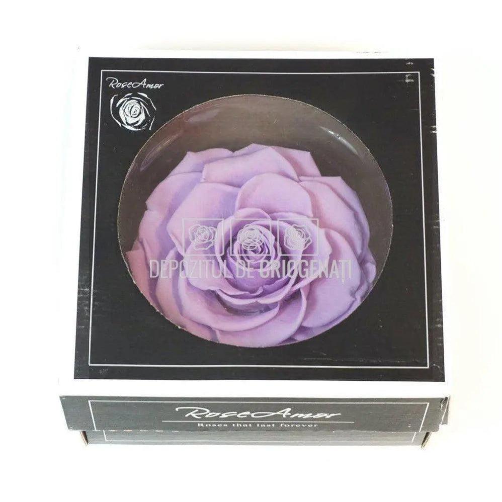 Trandafir Criogenat BONITA VIO - 03 (dia. 9,5cm, 1 buc /cutie) - Depozitul de Criogenati