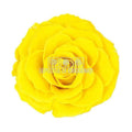 Trandafir Criogenat BONITA YEL - 02 (dia. 9,5cm, 1 buc /cutie) - Depozitul de Criogenati