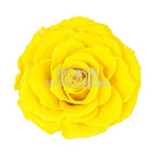 Trandafir Criogenat BONITA YEL - 02 (dia. 9,5cm, 1 buc /cutie) - Depozitul de Criogenati