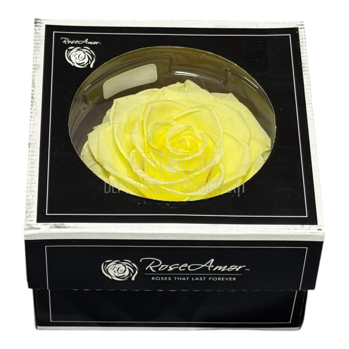 Trandafir Criogenat BONITA YEL - 89 (dia. 9,5cm, 1 buc /cutie) - DepozituldeCriogenati.ro