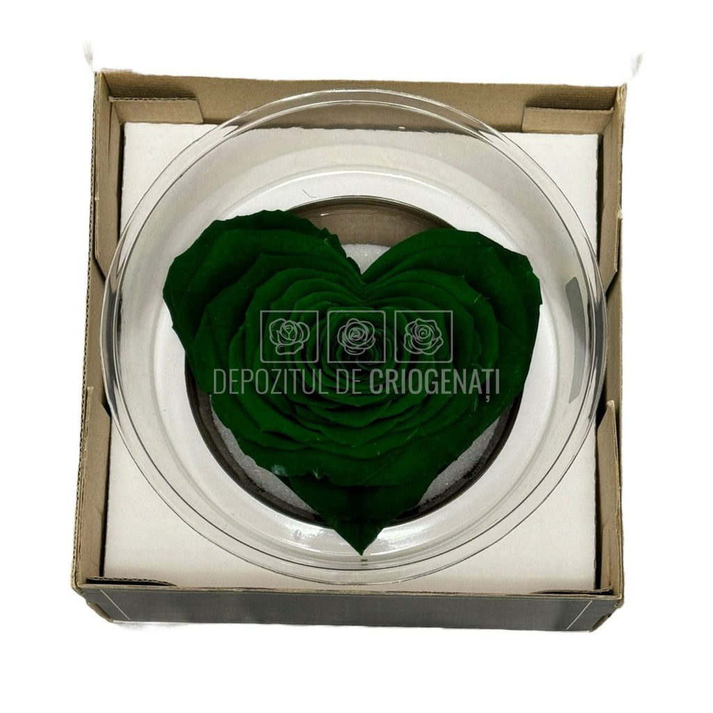 Trandafir Criogenat CORAZON GRE-02 (dia. 9cm, 1 buc /cutie) - DepozituldeCriogenati.ro