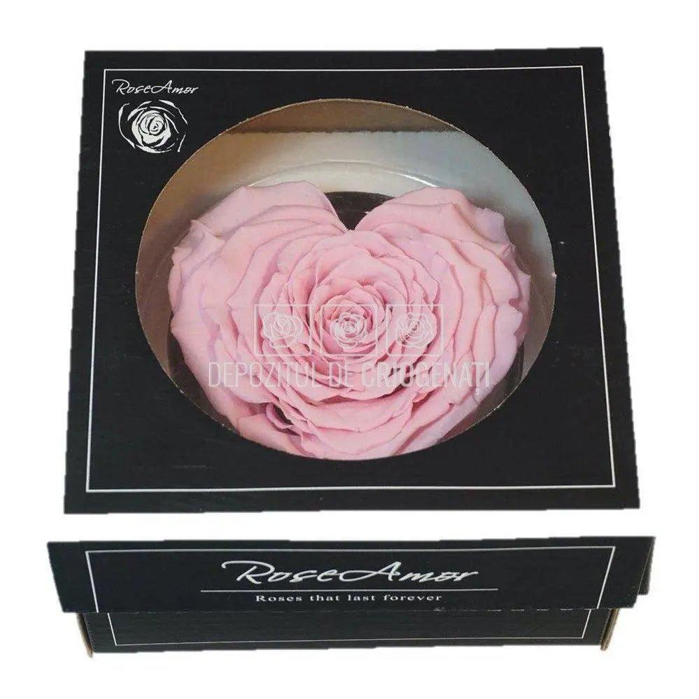 Trandafir Criogenat CORAZON PIN - 04 (dia. 9cm, 1 buc /cutie) - Depozitul de Criogenati