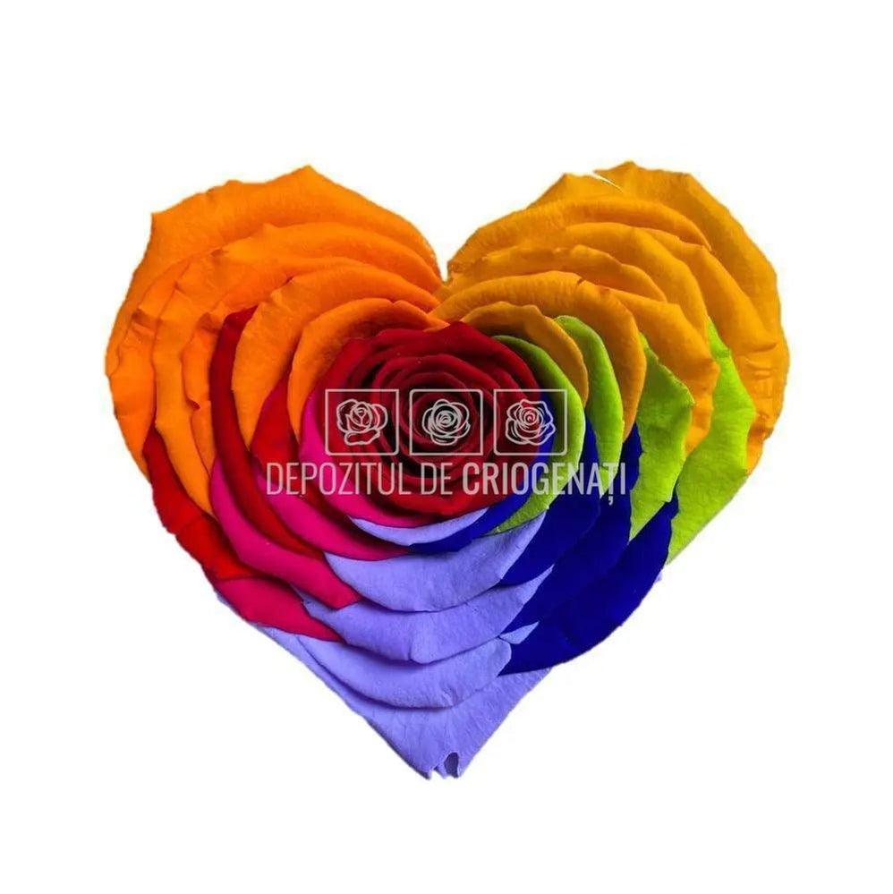 Trandafir Criogenat CORAZON RAINBOW RED - 02 (dia. 9cm, 1 buc /cutie) - Depozitul de Criogenati