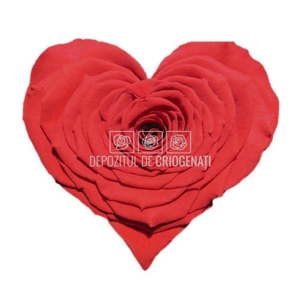 Trandafir Criogenat CORAZON RED - 02 (dia. 9cm, 1 buc /cutie) - Depozitul de Criogenati