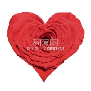 Trandafir Criogenat CORAZON RED-02 (Ø9cm, 1 buc /cutie) - DepozituldeCriogenati.ro