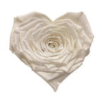 Trandafir Criogenat CORAZON WHI - 01 (dia. 9cm, 1 buc /cutie) - Depozitul de Criogenati