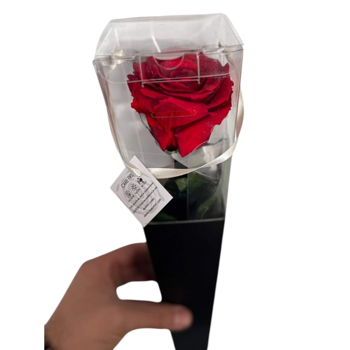 Trandafir Criogenat LORI RED - 02 (50cm, 1 buc ) - DepozituldeCriogenati.ro