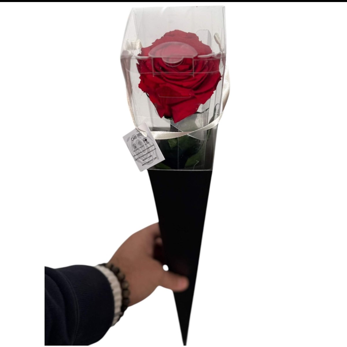 Trandafir Criogenat LORI RED - 02 (50cm, 1 buc ) - DepozituldeCriogenati.ro