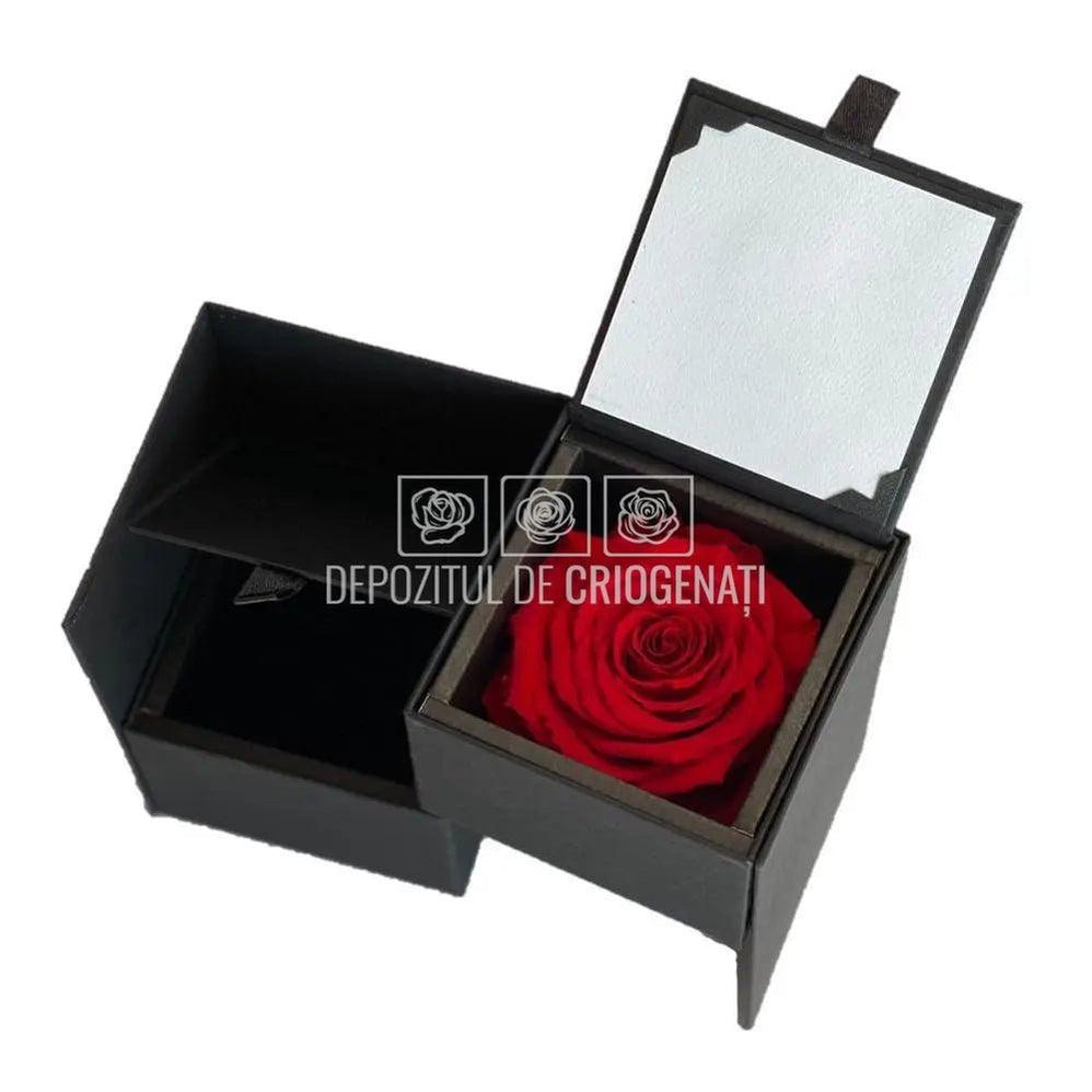 Trandafir Criogenat Rosu (Ø6,5-7cm) in Cutie (8,5x12,5cm) - DepozituldeCriogenati.ro