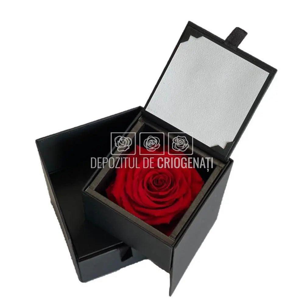 Trandafir Criogenat Rosu (Ø6,5-7cm) in Cutie (8,5x12,5cm) - DepozituldeCriogenati.ro
